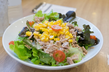 Tuna variety salad colorful on wooden table