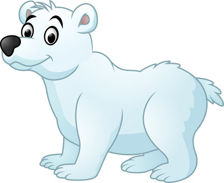 Polar bear cartoon