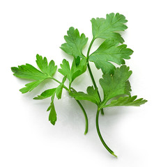 fresh green parsley leaves