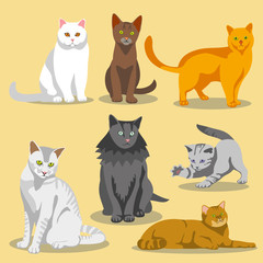 Cute vector cats with different colored fur and markings