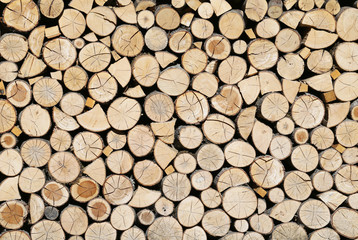 The firewood, which are very necessary in the winter.
