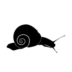 Abstract illustration, black and white silhouette of snail. Snail on slope.