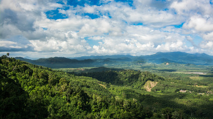 Fototapeta na wymiar Mountain and trees of the rain forest