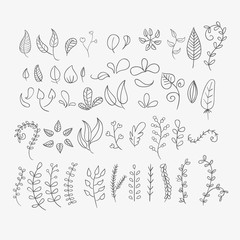 Hand drawn leaves pack