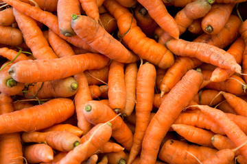 Pile of Bright Orange Carrots at a Farmers Market