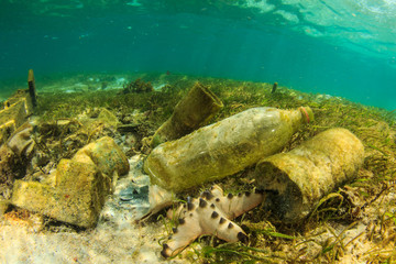 Plastic bottles and bags pollution in ocean