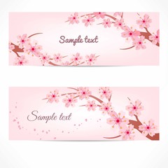 Obraz na płótnie Canvas Banner template with cherry tree branches