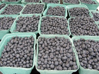 Blueberries in disposable carton. Richmond, British Columbia