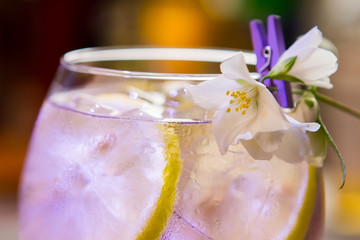 Transparent beverage in glass. Little white flower. Unforgettable taste of tom collins. Cold cocktail with gin.