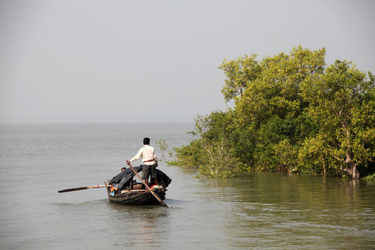 Fisherman In The Sundarbans, India