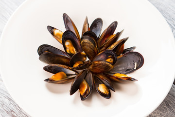 Cooked mussels on white plate. Shell of dark color. Simple meal rich in protein. Best snack in french cafe.