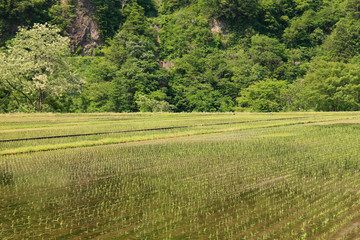 五箇山菅沼集落