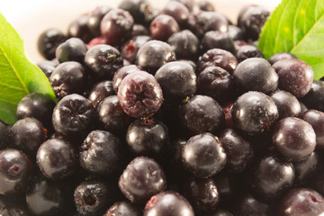 Closeup of aronia