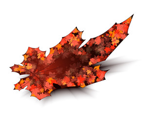 Maple leaf on a white background with shadow