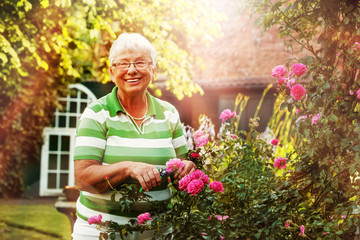 Elderly Lady Pruning the Roses - Powered by Adobe