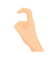 Vector of Open hands isolated on white background