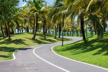 Obraz premium The only bike.