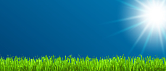 Obraz premium Sommerwiese