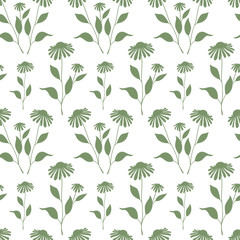 Seamless pattern with green Echinacea plant silhouette