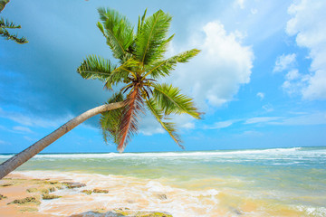 Untouched tropical beach of Sri Lanka