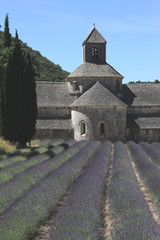 Fototapeta na wymiar Monestary with lavender field