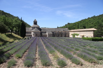 Old monastery with lavender field