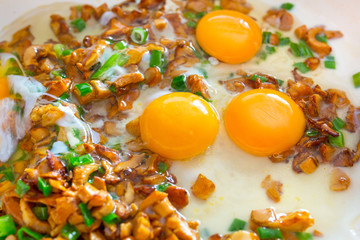Frying eggs with sliced golden chanterelle fungus and chives