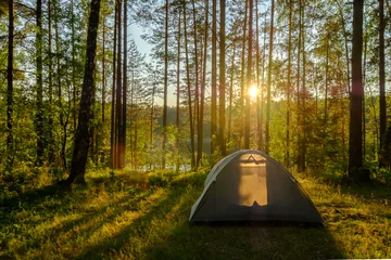 Foto op Plexiglas Tent in een dennenbos bij zonsondergang © Anton Gvozdikov
