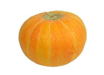 Ripe orange pumpkin, isolated on white background. Macro