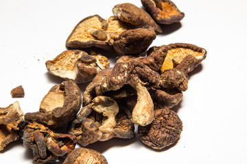 Shiitake