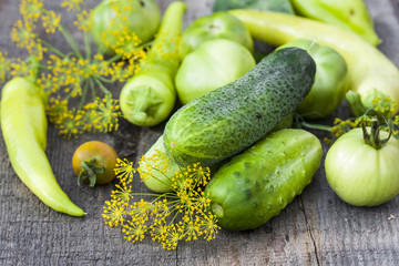 Harvest cucumbers on the wooden background