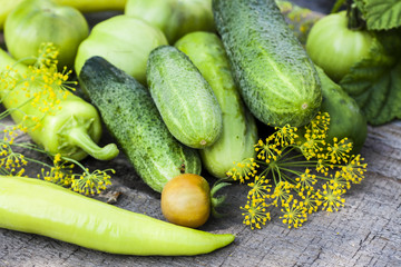 Harvest cucumbers on the wooden background