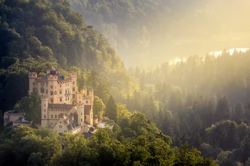 Foto auf Acrylglas Schloss Hohenschwangau castle at Fussen Bavaria, Germany