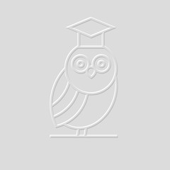 3D Owl icon - symbol of wisdom in outline style