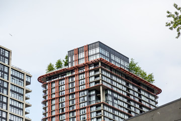 Trees on Roof of Luxury Condo