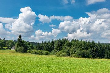 Summer landscape with forest, cottage and blue sky with clouds