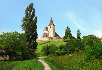 Fototapeta na wymiar église fortifiée St-Jacques-le-Majeur de Hunawihr 