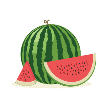 Fresh and juicy whole watermelons and slices. Vector illustratio