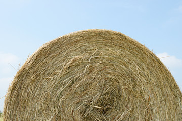 stubble field with hay bales