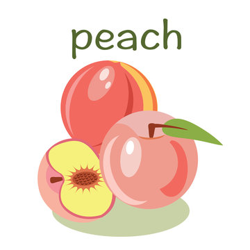 Vector peach isolated  fruit vector illustration