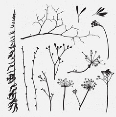 Vector set of silhouettes of flowers and grass on the hipster vector background.
