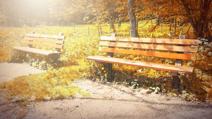  In Autumn. Fantasy fable Bench in Park with Sunrise scene.