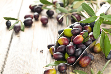 Fresh olives in scoop.