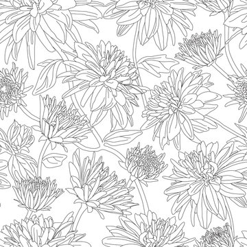 Seamless pattern with dahlia in black and white