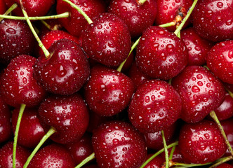Cherry Background. Sweet organic cherries with waterdrops on mar - 116776756