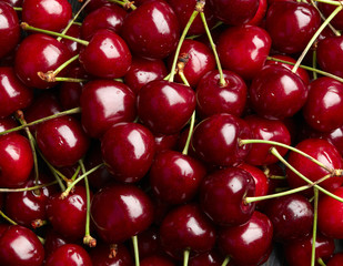 Cherry Background. Sweet organic cherries on market counter