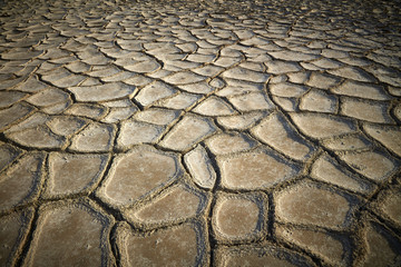 Dried and cracked earth background