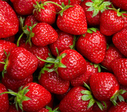 Strawberry background. Red ripe organic strawberries 