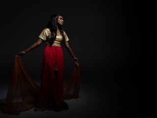 Fototapeta na wymiar Beautiful young indian woman with long and dark hair sat wearing