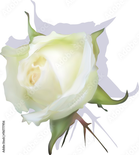 My Image 23